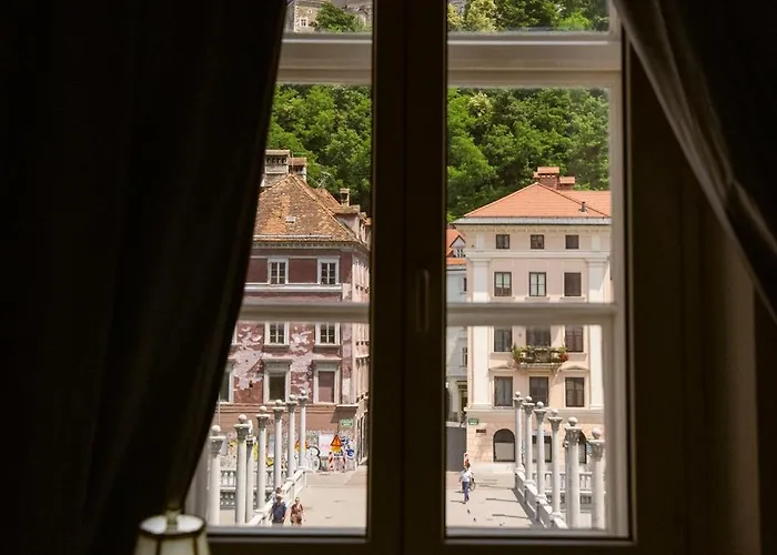 Apartment Galerija Rosa Centifolia